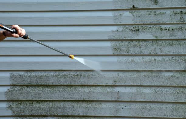Best Roof Cleaning and Mildew Removal in Evans, GA